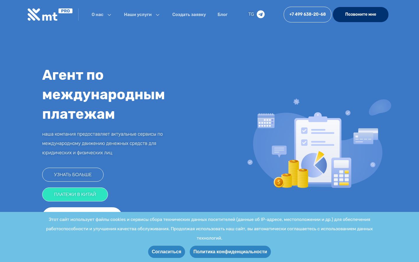 Money Transfer Professional · снимок главной страницы (HOMEPAGE_SCREENSHOT)